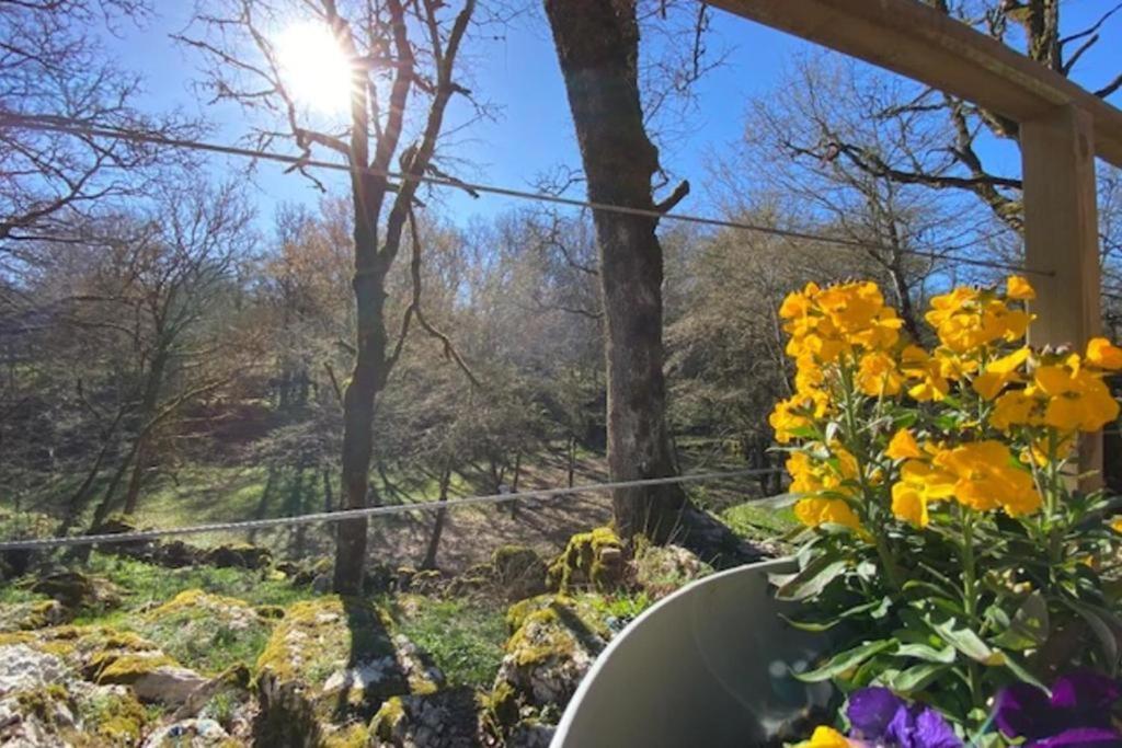 La Jonquille Villa Gramat Eksteriør bilde
